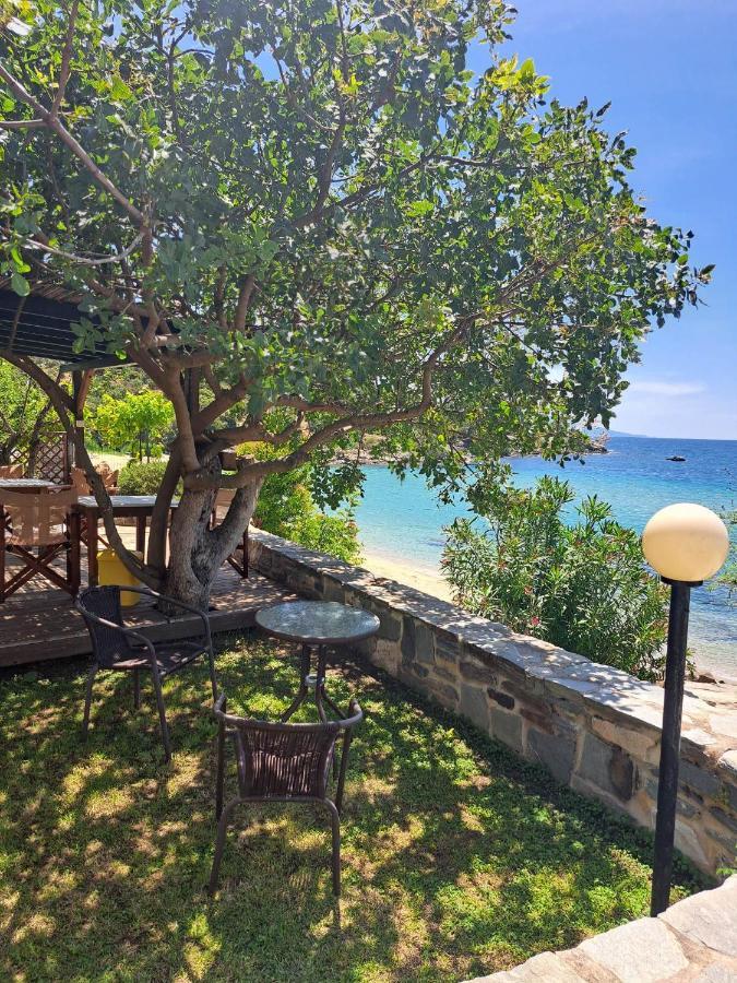 PalaiónTsiflíkion La Casa Sul Mareヴィラ エクステリア 写真