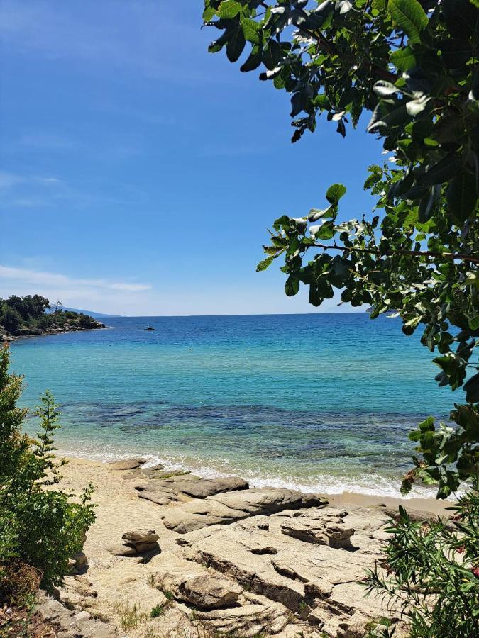 PalaiónTsiflíkion La Casa Sul Mareヴィラ エクステリア 写真