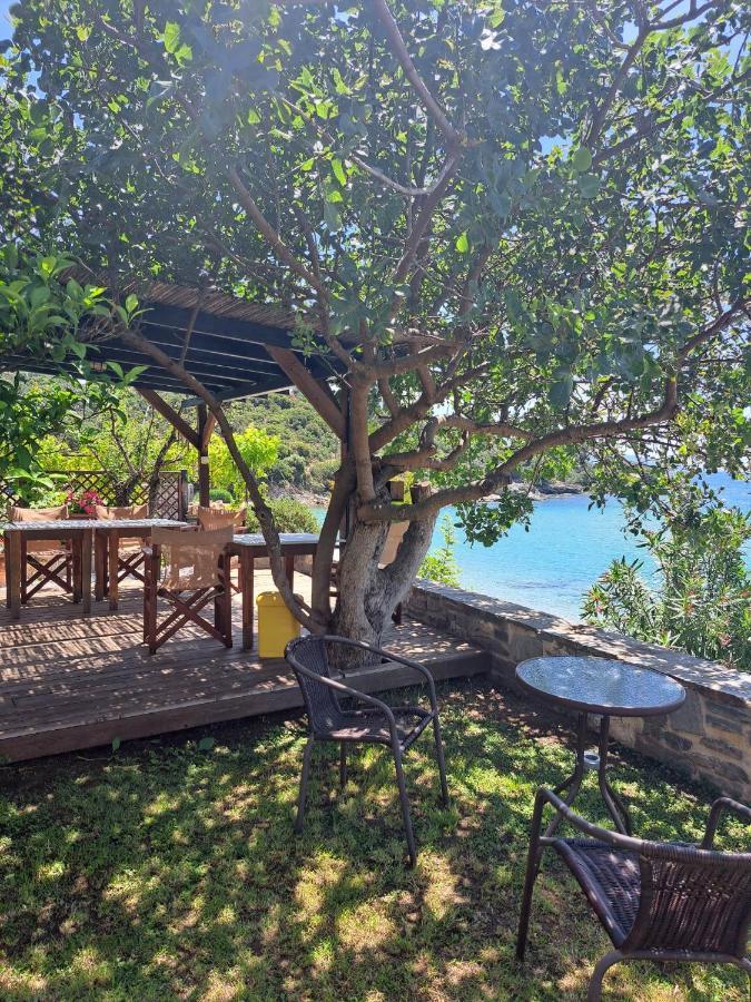 PalaiónTsiflíkion La Casa Sul Mareヴィラ エクステリア 写真
