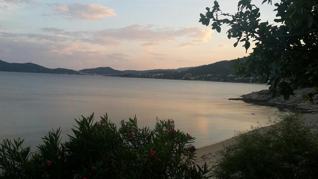 PalaiónTsiflíkion La Casa Sul Mareヴィラ エクステリア 写真
